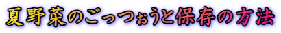 夏野菜のごっつぉうと保存の方法